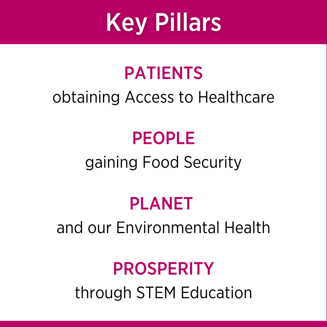 citc-pillars